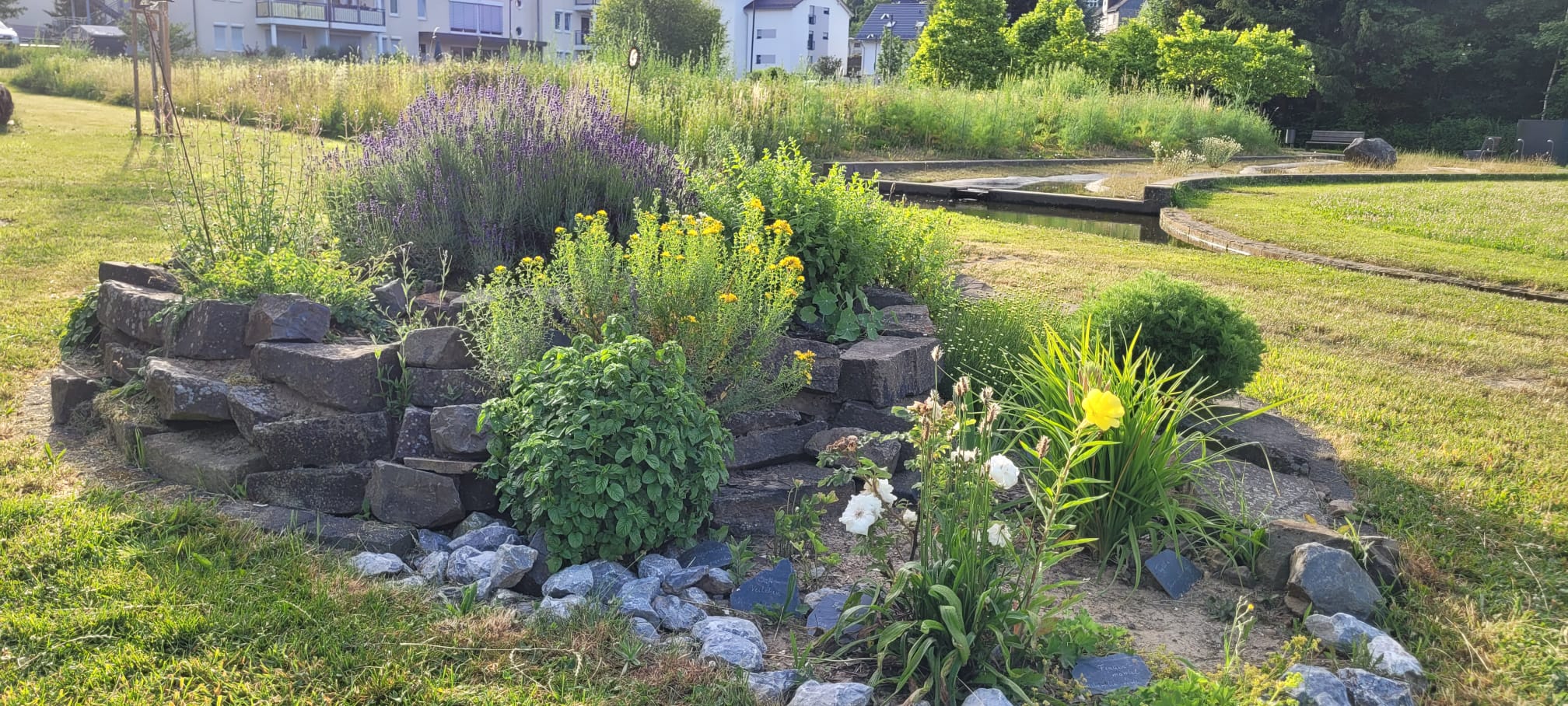 Kräuterspirale aus Natursteinen mit verschiedenen Kräutern und Blumen, umgeben von Rasen und Wohnhäusern im Hintergrund, Workshop für Kita und Grundschule; Pflegeheim zum Naturerleben