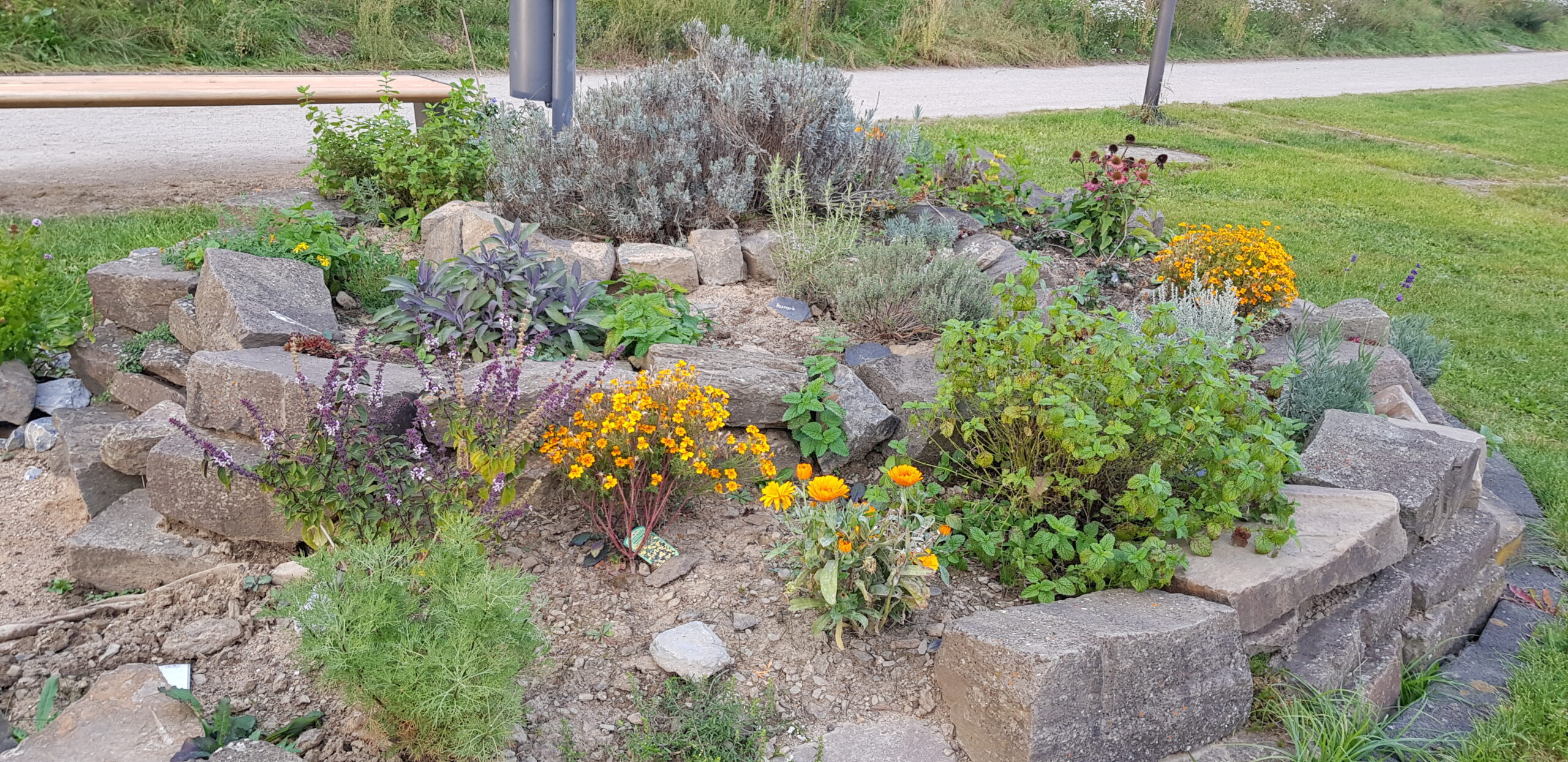 Kräuterspirale aus unregelmäßig geschichteten Steinen mit verschiedenen Kräutern und Pflanzen, umgeben von Rasen und einem Weg im Hintergrund.