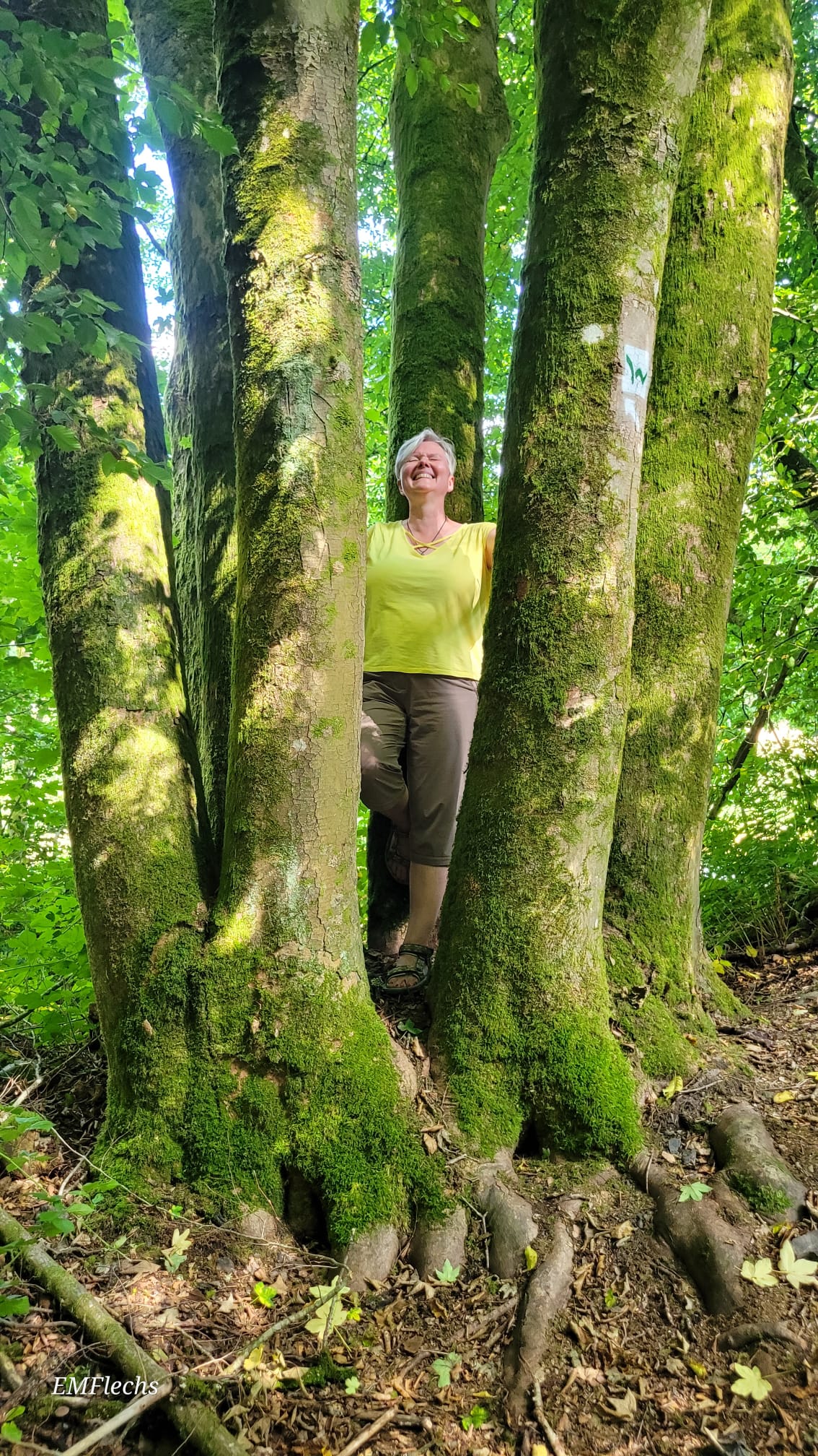 Kräuterfrau Eva steht zwischen drei großen, moosbedeckten Bäumen im Wald. Sie trägt ein gelbes Oberteil und kurze Hosen.