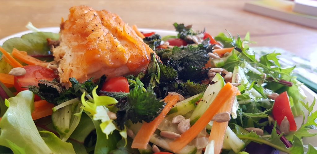 frittierte Brennnesselchips auf Salat mit gemischtem Blattgrün, Karottenstreifen, Tomatenstücken, Sonnenblumenkernen und einem Stück gebratenem Lachs.